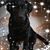 Pam Waldron Doedli's profile image