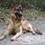 Hailey Wilczewski-Goldrich's profile image