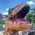 Amy Bolling's profile image