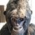 Kristen Cornman's profile image
