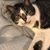 Kathleen McGann's profile image