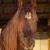 Jamie Niecko Fisher's profile image
