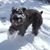 Phyllis Workman's profile image