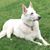 Annie Peterson's profile image