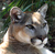 Tammie P.'s profile image