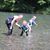 Rebecca Granum's profile image