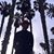 Bryan Danny Ferri Fletcher Steevens's profile image