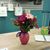 Debra Shahi's profile image