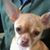 Cathy Calderon's profile image