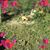 Ann A Hill's profile image
