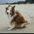 Larry Lynn Kapitan's profile image