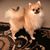Karyn Choate's profile image