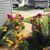 Farooq M Hussain's profile image