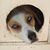 Wendy Wray Miller's profile image