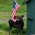 Derek Ardito's profile image