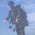 Kristy L. Doney's profile image