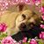 Tashia Tj Jackson's profile image