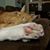 Cindy Hill Seigle's profile image