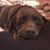 Dolores Guillorme Mace's profile image