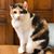 Dori Meighan's profile image