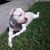 J Wilson Patrick's profile image