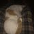 Chris Bakewell's profile image