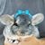 Alma Sanchez-Ramos's profile image