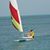 Gail Wells Carroll's profile image
