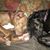 TerryandDavid Richards's profile image