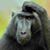 Poręba Robert's profile image