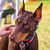Samm Bartee's profile image