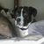 Sabine Bolles's profile image