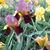 Debbie Hren's profile image