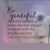 Angie Clark Wright's profile image