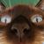 Susan Anderson's profile image
