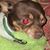 Debbie Wagner's profile image