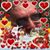 Steve Stanley's profile image