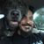 Moe Melchor's profile image
