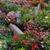 Rocio Marquez's profile image