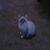 Mary Wilt's profile image