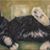 Kelley Williams's profile image