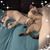 Linda Davis's profile image