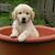 Sandy Springborn Heeley's profile image