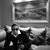Christian Alejandro Camargo's profile image