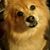 Christine Baldwin Shine's profile image