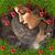 Jeri Brown's profile image