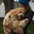 Kasie Gloschat's profile image