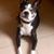 Antonio Joannidis's profile image