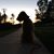 Bobbi M Schutz's profile image