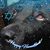 Deborah Elkis-Abuhoff's profile image